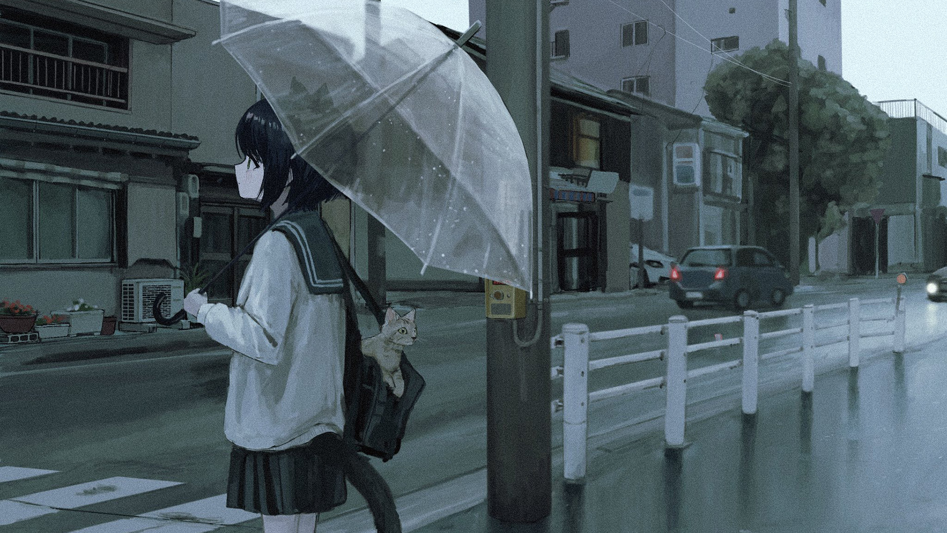 主题背景图片