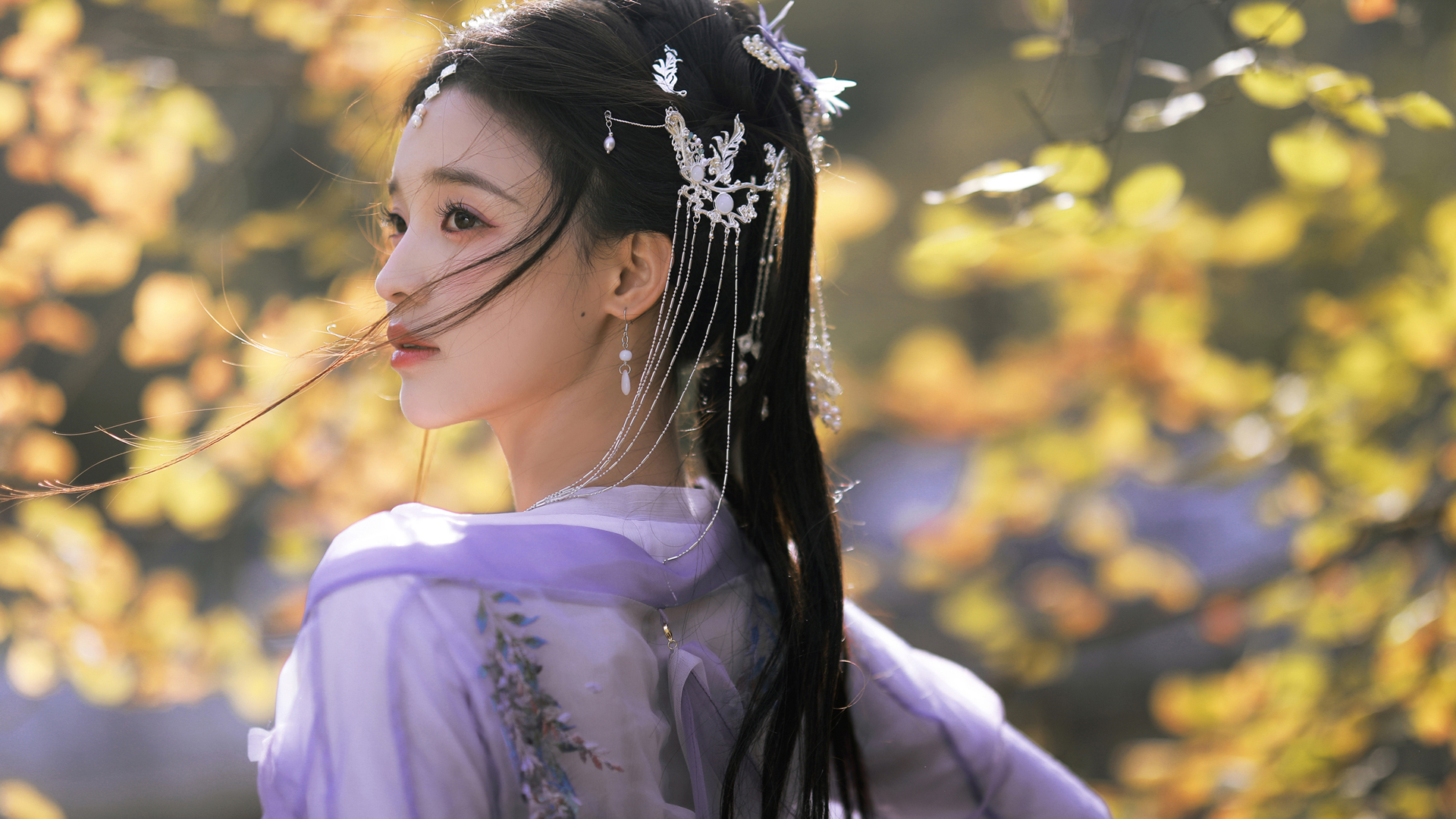 主题背景图片